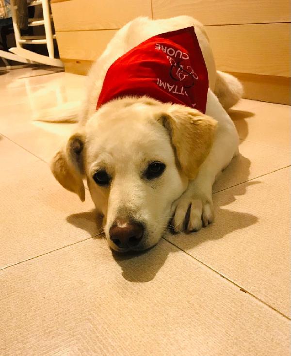 Orio Nato A Febbraio '22 - Adozione Del Cuore